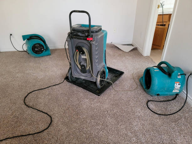 Best Carpet water damage restoration  in Winter Beach, FL