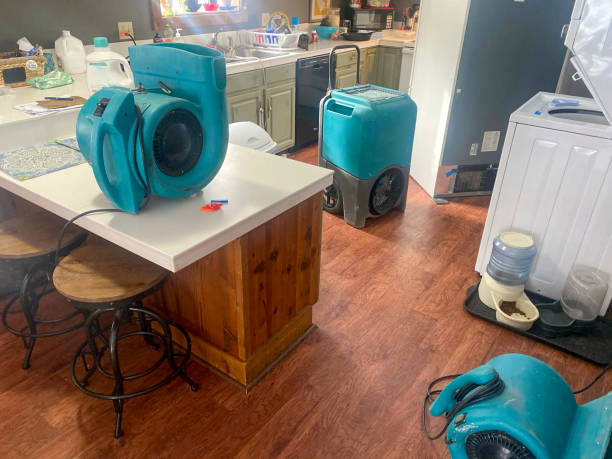 Best Professional water damage repair  in Winter Beach, FL