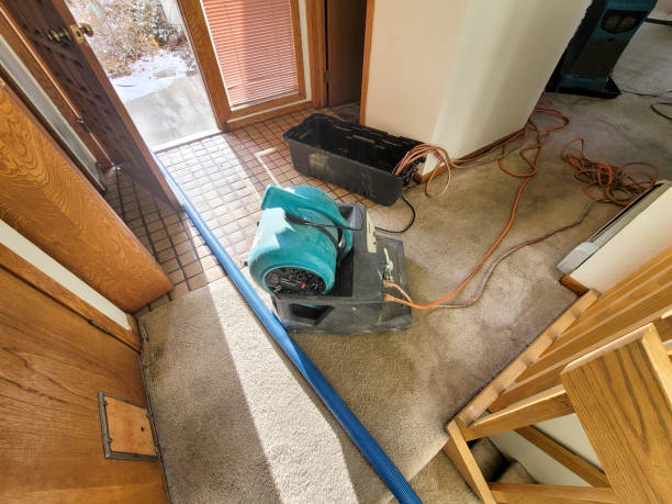 Best 24-hour water damage restoration  in Winter Beach, FL