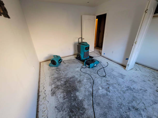Best Sewage cleanup and water damage restoration  in Winter Beach, FL