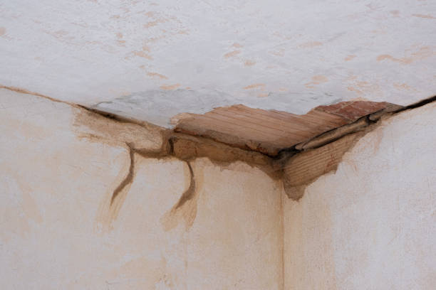 Best Emergency water extraction  in Winter Beach, FL