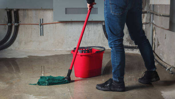 Best Water damage restoration near me  in Winter Beach, FL