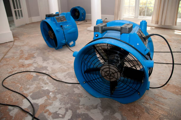Best Flood restoration services  in Winter Beach, FL