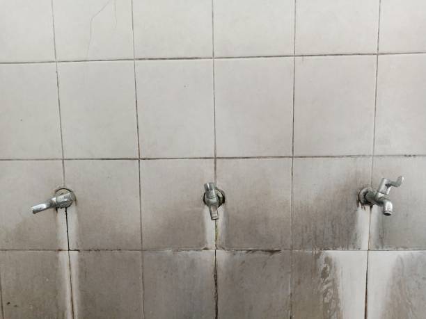 Best Water damage restoration near me  in Winter Beach, FL