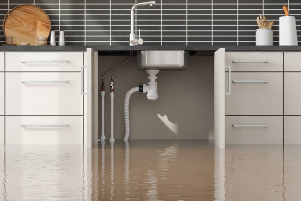 Best 24/7 water damage repair  in Winter Beach, FL
